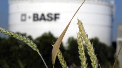 Fabryka BASF ruszy w lipcu