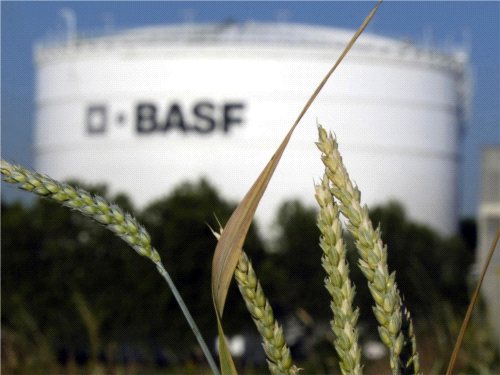 Fabryka BASF ruszy w lipcu