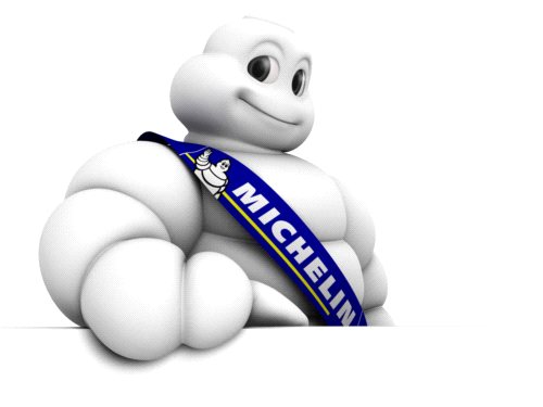 Wyniki Grupy Michelin za 2014 rok