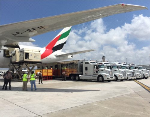 Emirates SkyCargo przewiozły blisko 100 koni przez trzy kontynenty