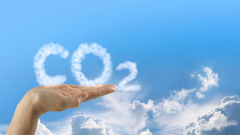Kompensacja emisji CO2 dla klientów flotowych