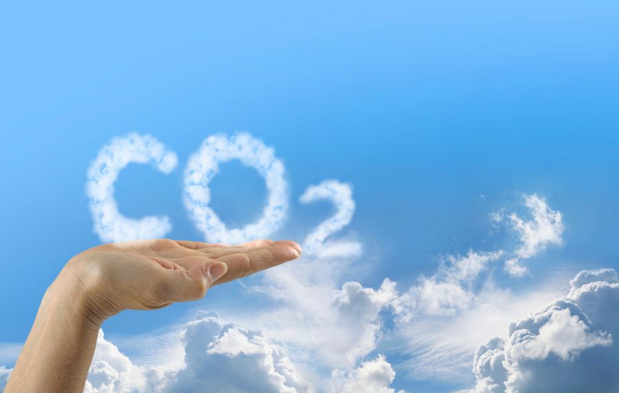 Kompensacja emisji CO2 dla klientów flotowych