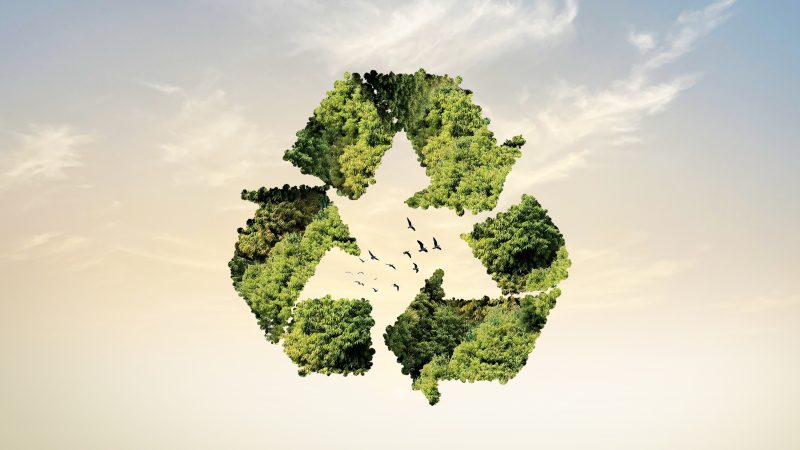 Z recyklingu – TRILUX wprowadza nową linię opraw oświetleniowych