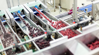 Czy w Polsce nadal opłaca się produkować?