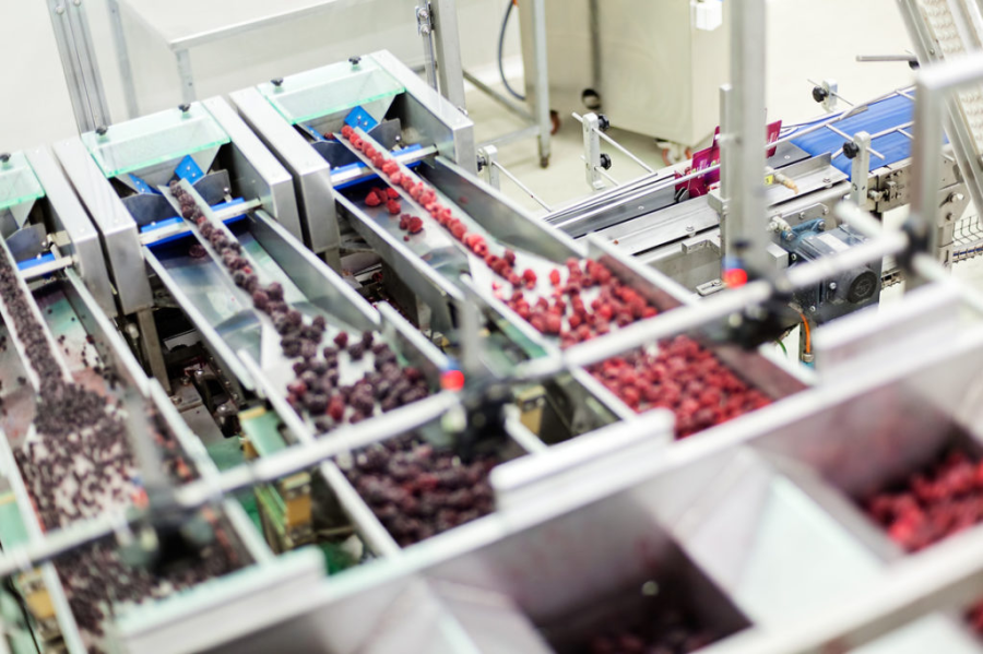 Czy w Polsce nadal opłaca się produkować?